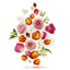 Roses Musk