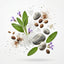 Wood Sage & Sea Salt