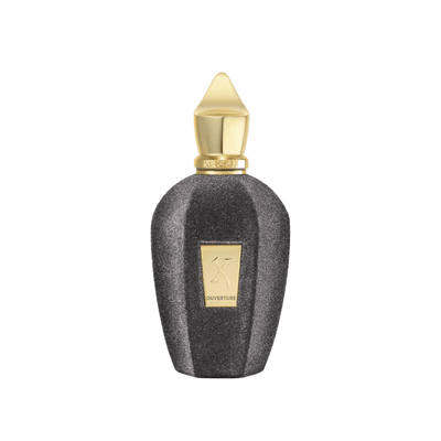 Xerjoff V Collection Overture 100ml